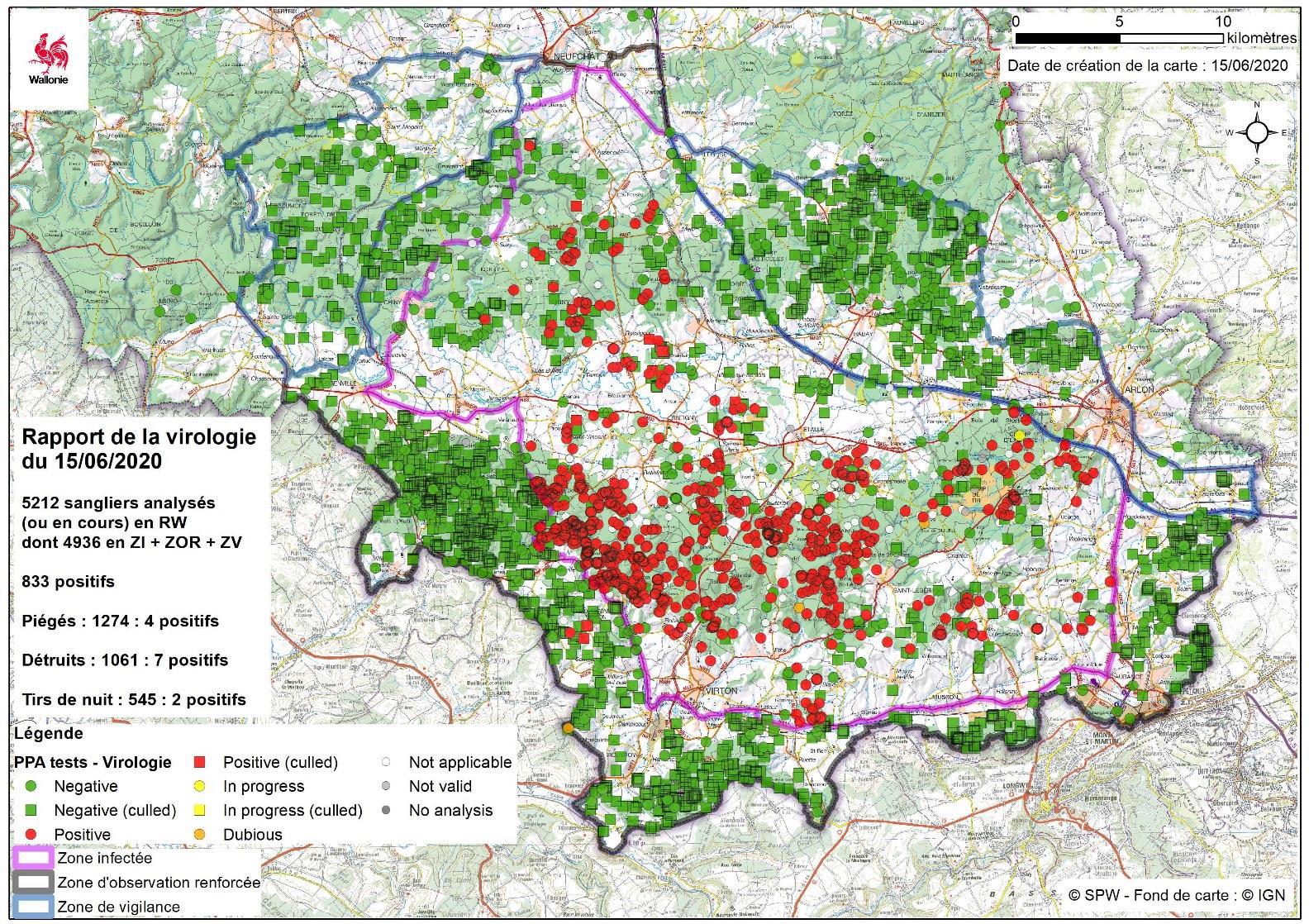 Karte mit der regionalen Verteilung beprobter bzw. infizierter Wildschweine in Belgien