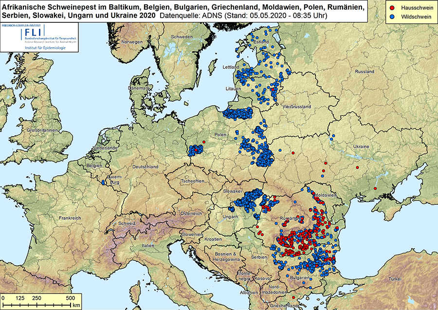 Verbreitungskarte der ASP-Ausbrüche in Europa, veröffentlicht vom FLI