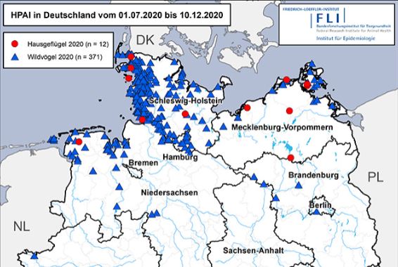 Verbreitungskarte der Aviären Influenza in Deutschland